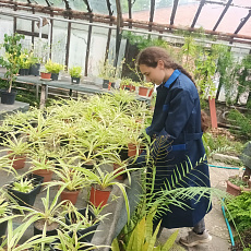 Участники студенческих строительных отрядов осваивают рабочую профессию «Садовник»